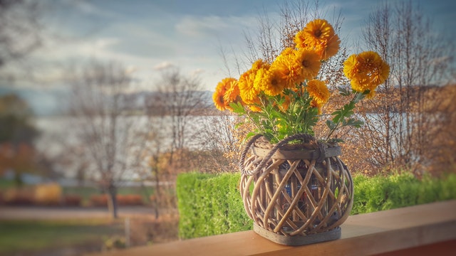 Váza z prútia s oranžovými kvetmi položená na drevenom balkónovom zábradlí